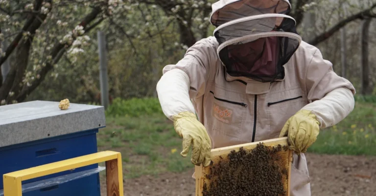 Beekeeper inspecting a honeycomb frame, illustrating how marketers can examine individual blog posts to identify which ones are producing email subscribers.