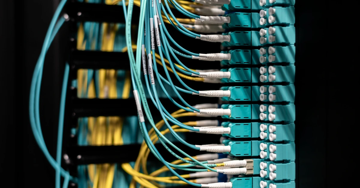 Organized network cables connected through a patch panel, illustrating how a simple segmentation system can keep affiliate email subscribers structured and manageable.