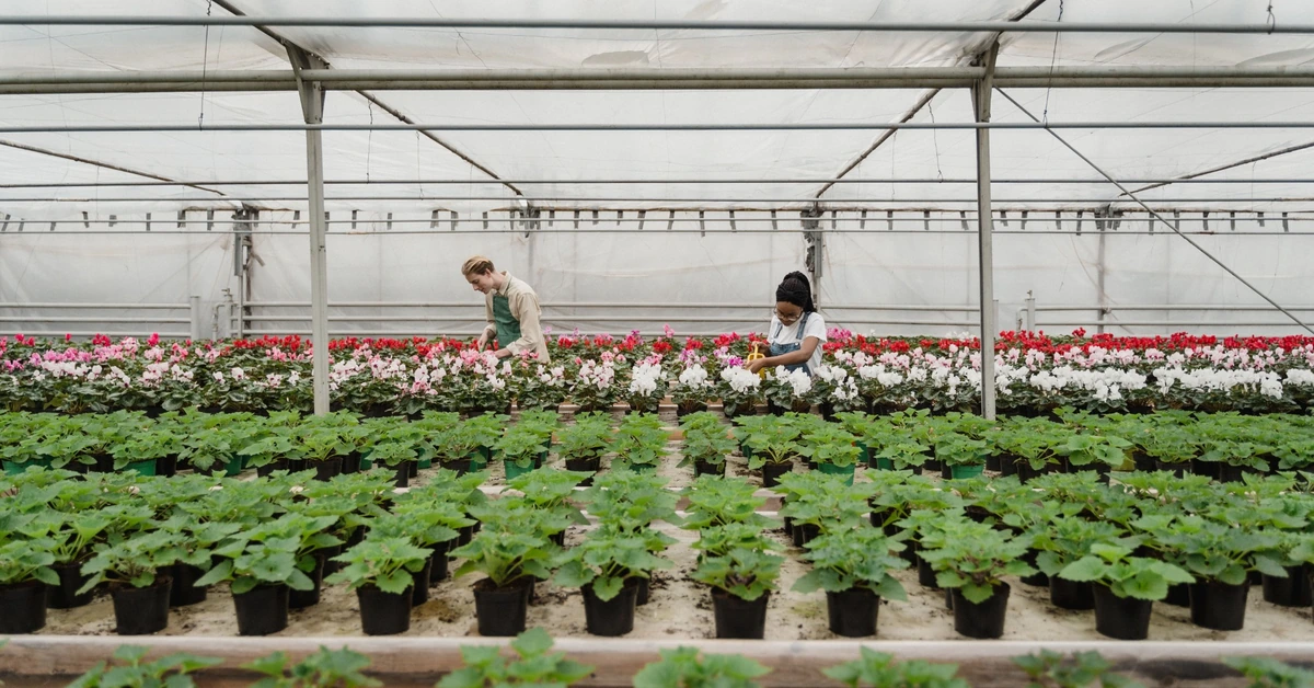 Two horticulturists tending plants in a greenhouse, illustrating how consistent improvement is more useful than constantly restarting an affiliate marketing strategy.