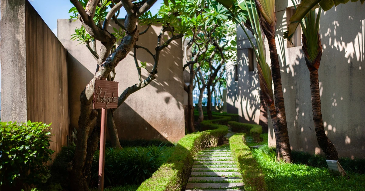 Stone pathway through a garden, representing step-by-step progress from training to implementation.
