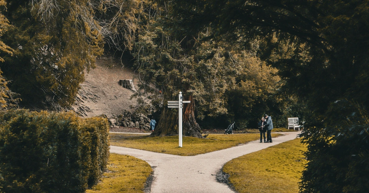 Forked park path with a signpost, representing choosing the best email opt-in placement for the reader experience.